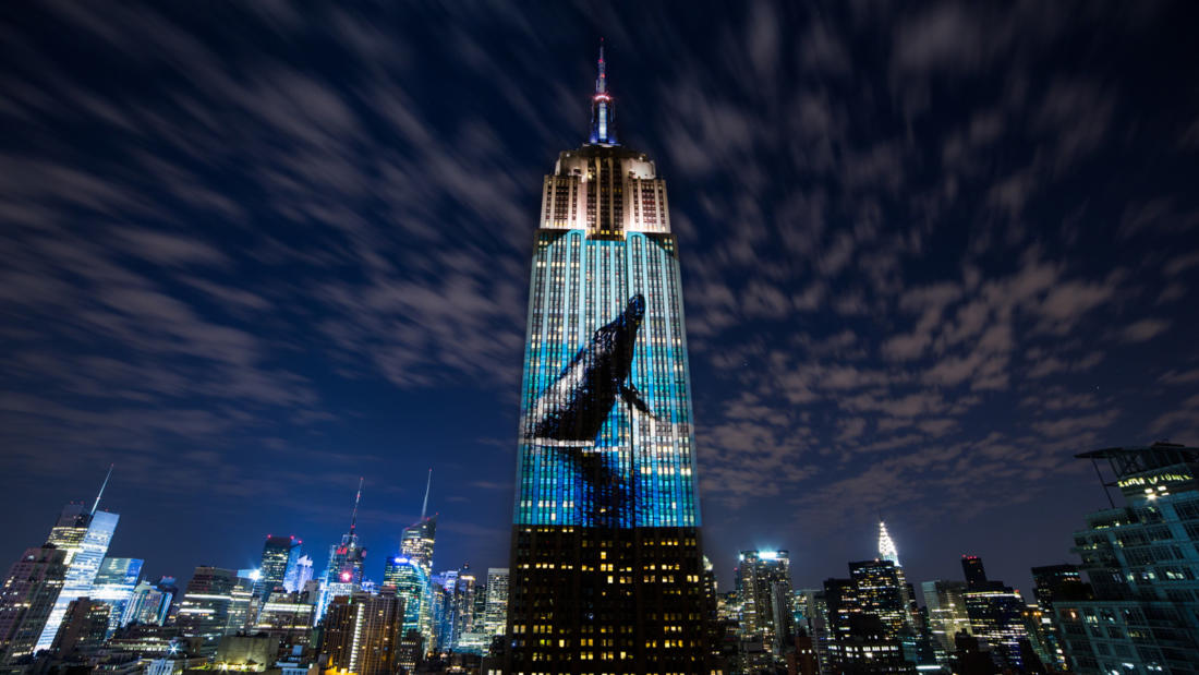 Racing extinction