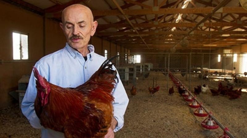 Good food: Creating a sustainable food future